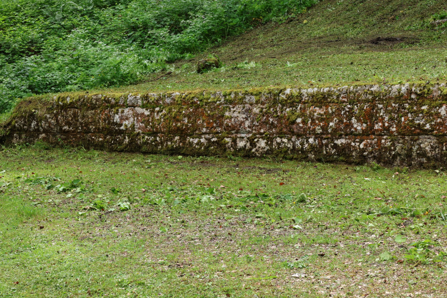 Mur avant nettoyage